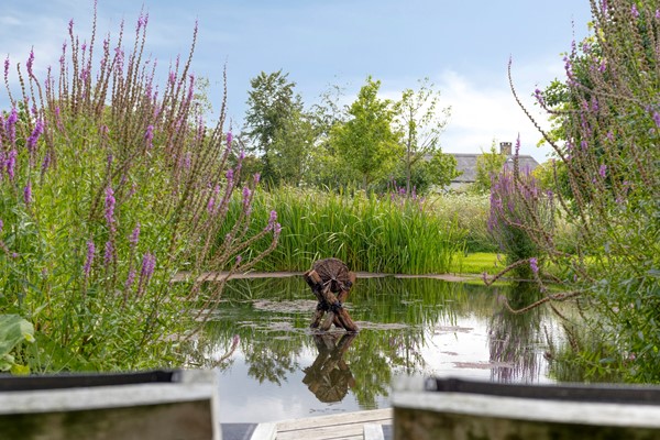Medium property photo - Bobbenagelseweg 7, 5491 VL Sint-Oedenrode